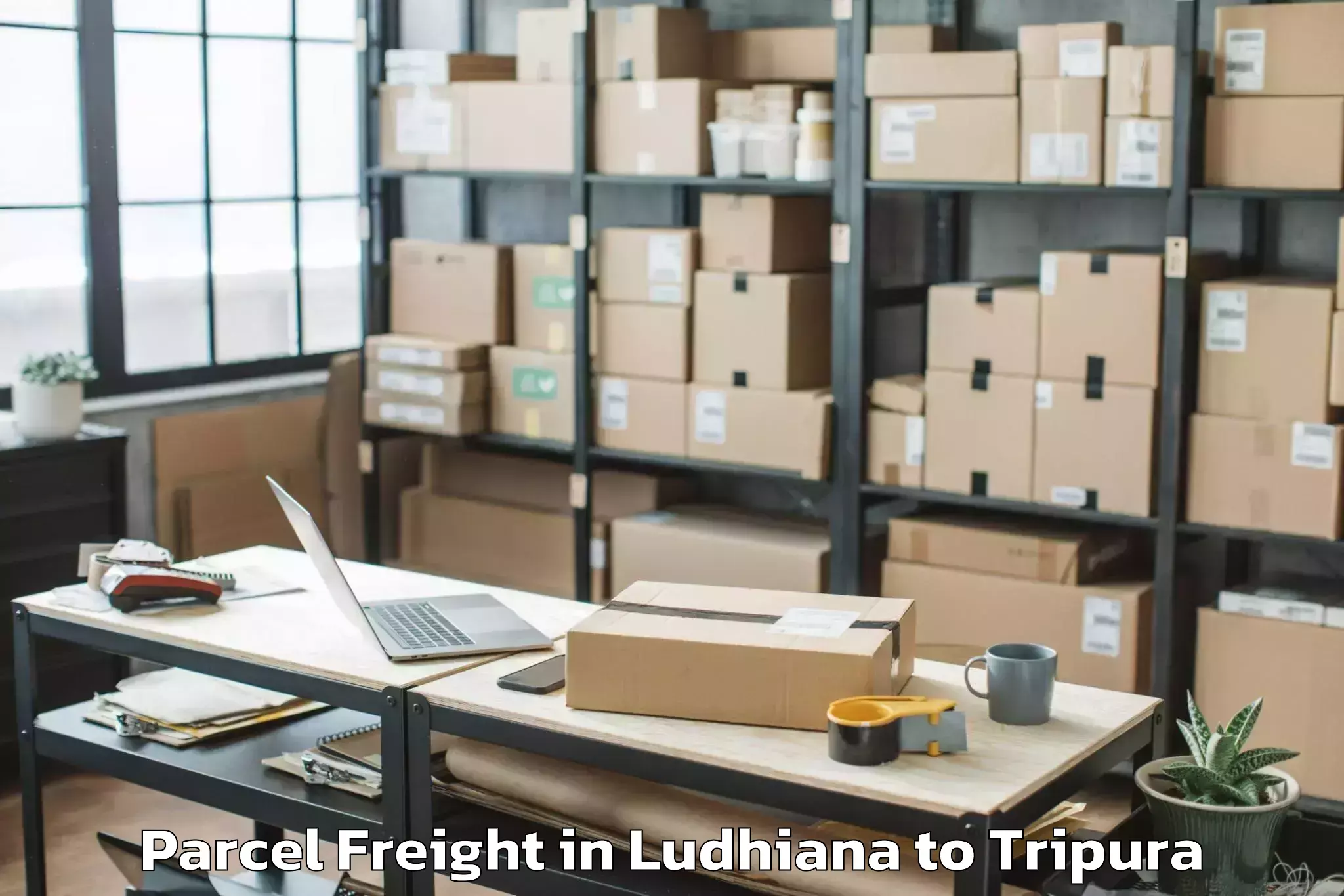 Leading Ludhiana to Udaipur Tripura Parcel Freight Provider